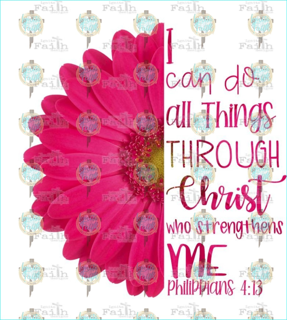 Philippians Pink Sublimation Transfer