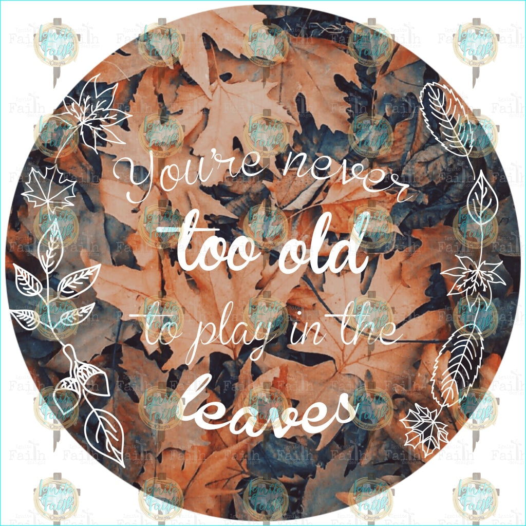 Youre Never Too Old To Play In The Leaves Sublimation Transfer